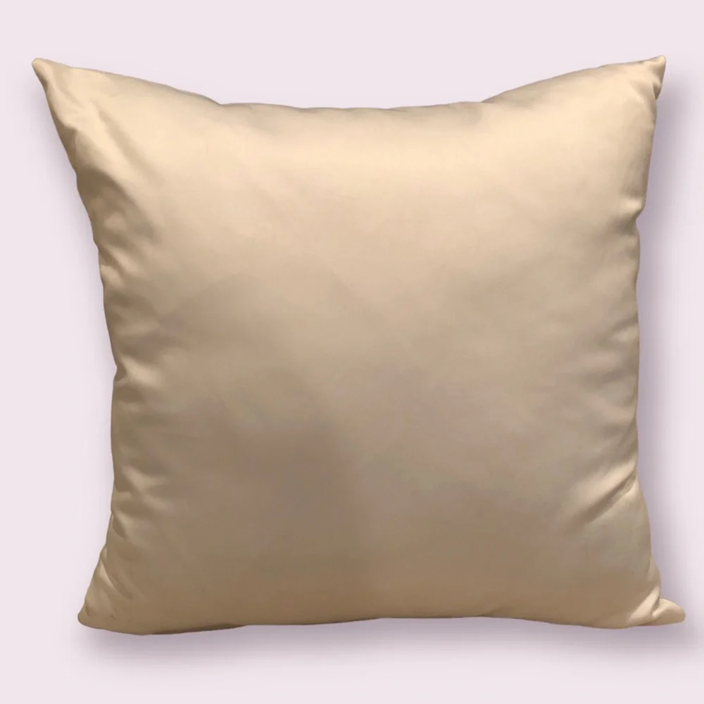 Pokémon Throw Pillow - Picture 5 of 5